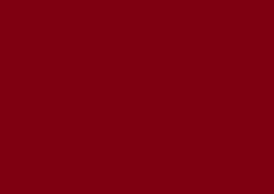 Color Card Display - High Light Brown Red EP-6374