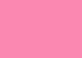 Color Card Display - Pink 6963#